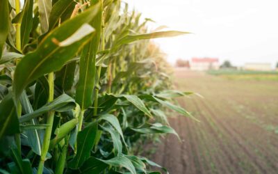 SOS Rural defiende la “oportunidad” de Europa de impulsar su mercado común como respuesta a los aranceles de Trump