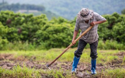 SOS Rural impulsa alianzas con organizaciones del ámbito europeo para defender el mundo rural