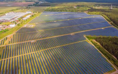 SOS Rural advierte que la proliferación descontrolada de placas solares en tierra de cultivo pone en peligro la subsistencia del medio rural