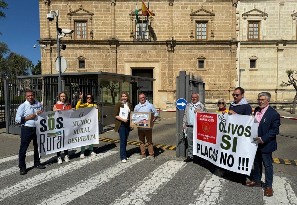 SOS Rural y Campiña Norte exigen el fin de la tala de olivos y una ley de protección del suelo agrícola
