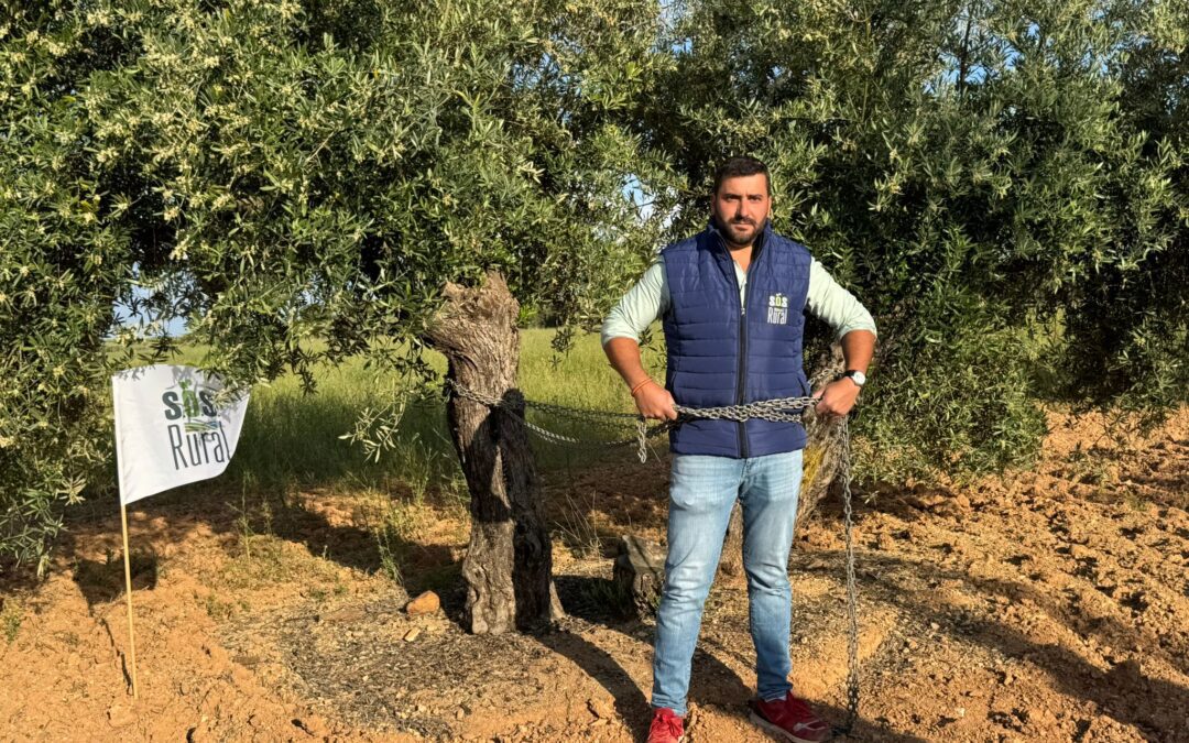 Galería: Encadenados a los olivos de Lopera