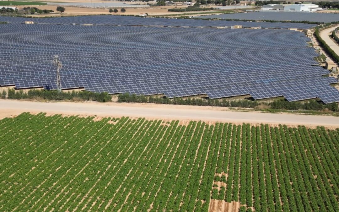La expansión fotovoltaica en Murcia preocupa por la falta de planificación territorial