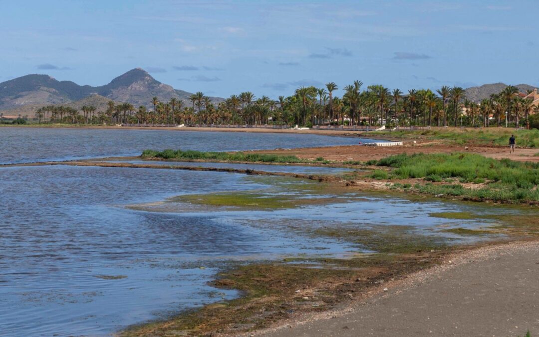 Claves: El Mar Menor va a los tribunales