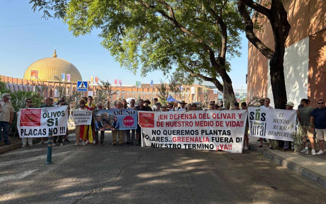 La Junta asegura por carta que no para la tala de olivos en Jaén porque cuenta con el apoyo social y se ajusta a la ley