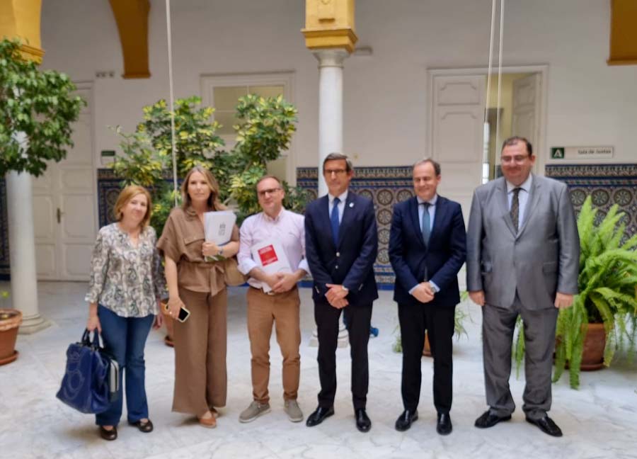 SOS Rural y Campiña Norte exigen a la Junta no talar un solo olivo más e impulsar una ley autonómica que proteja el suelo que nos da de comer