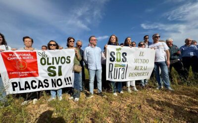 SOS Rural y E&L llevan a los tribunales a la Junta y al Ayuntamiento de Lopera por el macroproyecto fotovoltaico que supone la tala de olivos