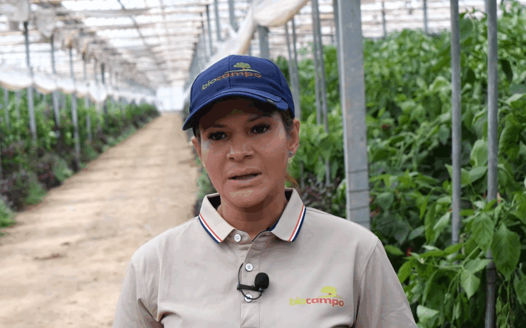 Diana Bermelló, una historia de integración y arraigo en el Campo de Cartagena