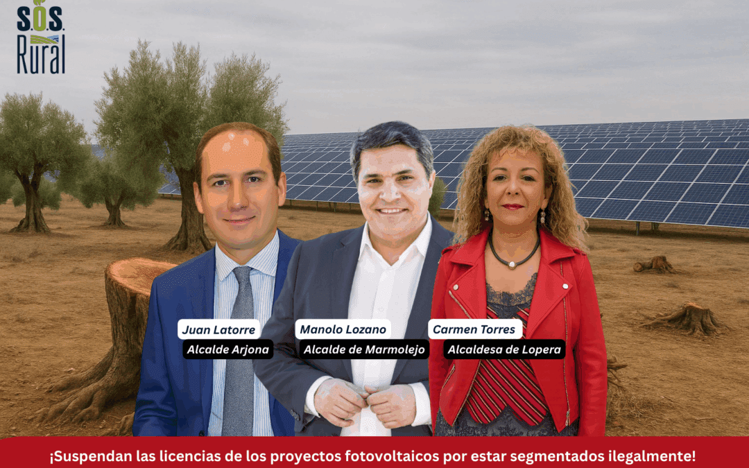 Stop Licencias Fotovoltaicas en Lopera
