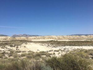 Abandono agrícola en la Región de Murcia y protesta de SOS Rural