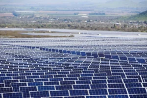 Fundación Ingenio pide cambios a López Miras en la feria Fruit Attraction