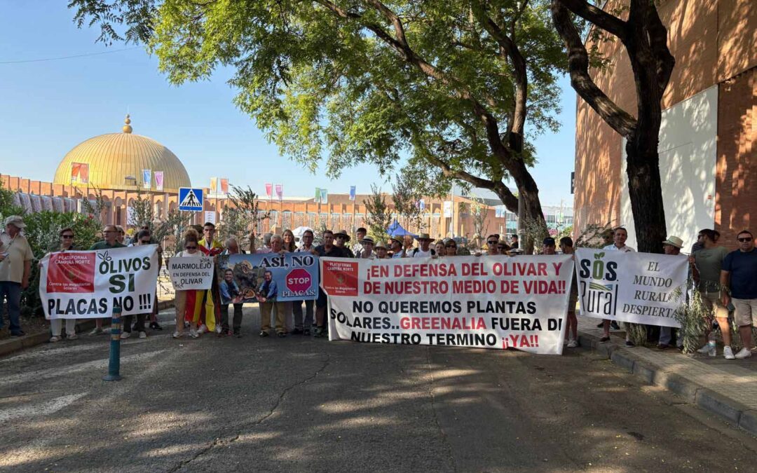 SOS Rural, Ecología y Libertad y Campiña Norte informan a la alcaldesa de Lopera de que la llevarán a los tribunales si incumple su promesa y concede las licencias de las plantas solares ilegales