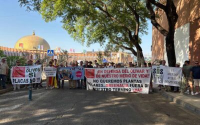 SOS Rural, Ecología y Libertad y Campiña Norte informan a la alcaldesa de Lopera de que la llevarán a los tribunales si incumple su promesa y concede las licencias de las plantas solares ilegales