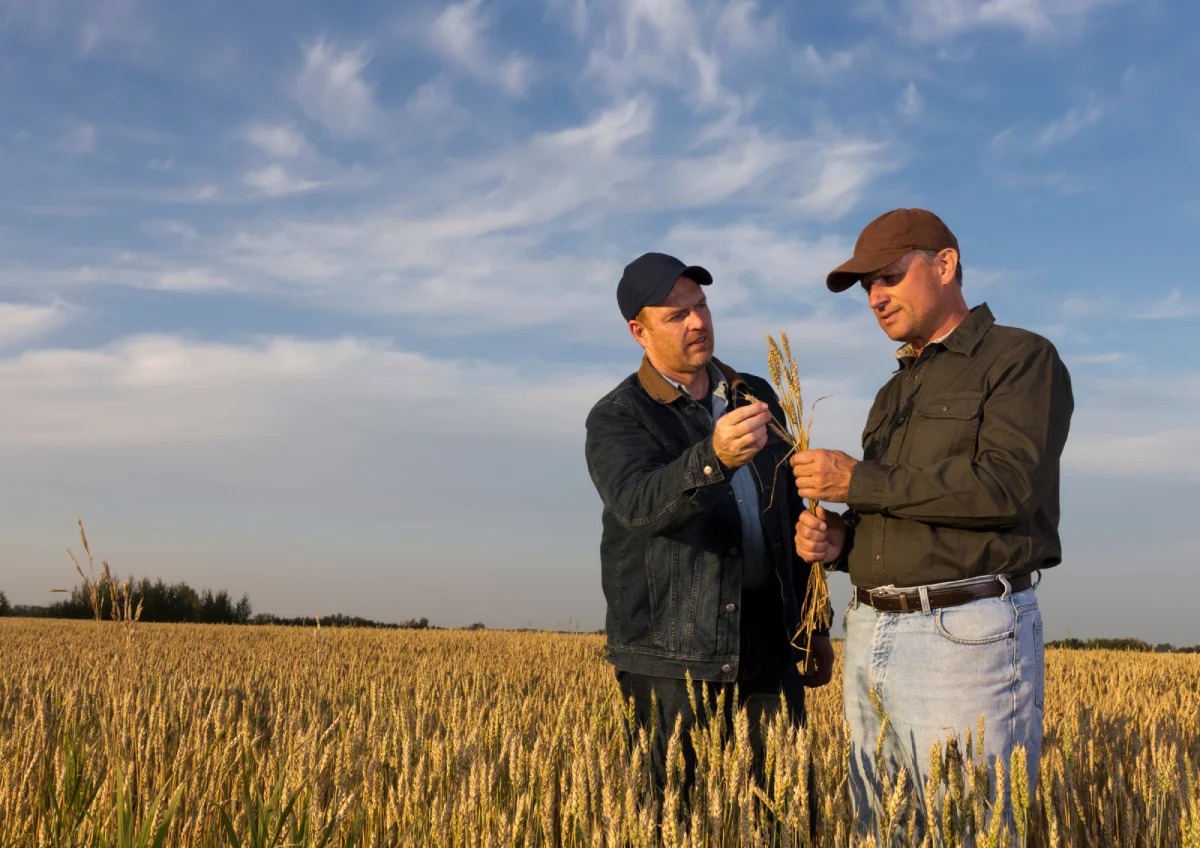 colaboradores-mb SOS Rural