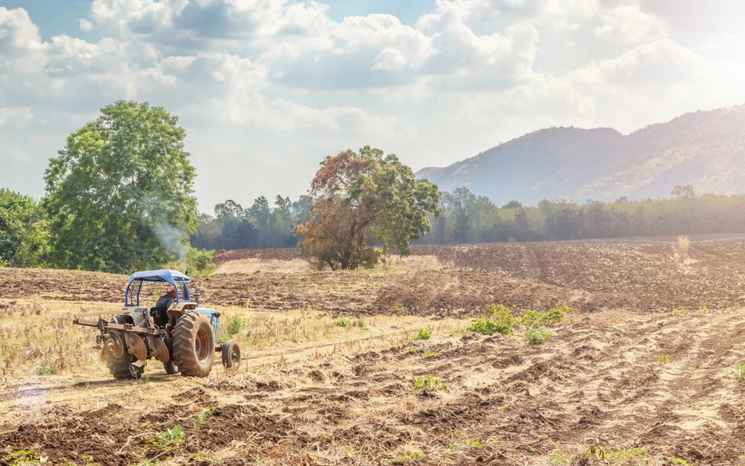 Agroingenieros denuncia que el nuevo programa de nitratos de Murcia excluye a los ingenieros agrónomos