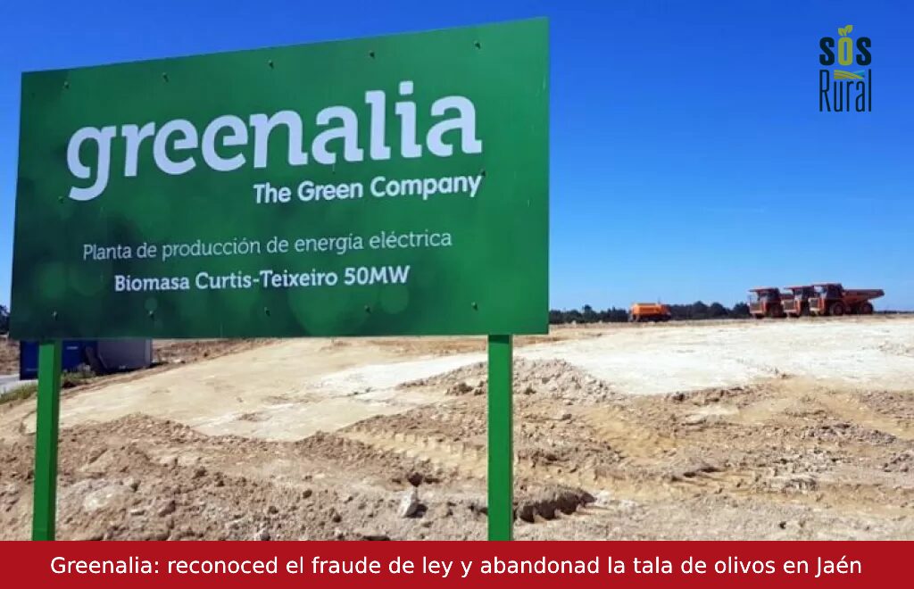 Greenalia: Reconoced el fraude de ley y dejad de talar olivos en Jaen